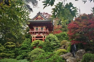 Golden Gate Park - SF