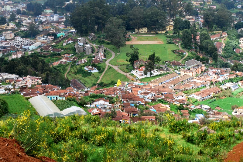Ooty