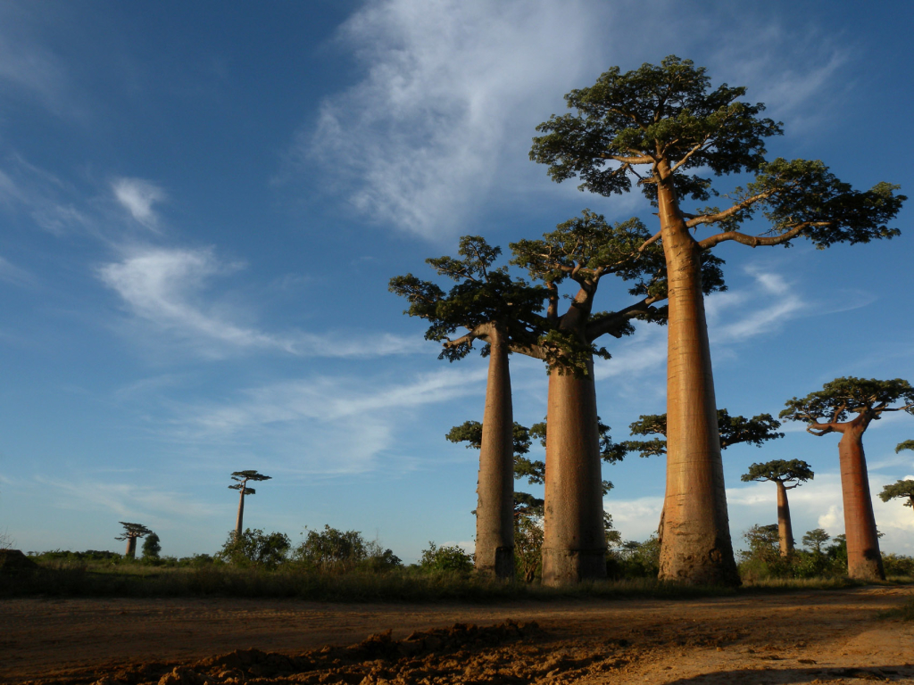 Madagascar