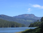 Munnar Featured
