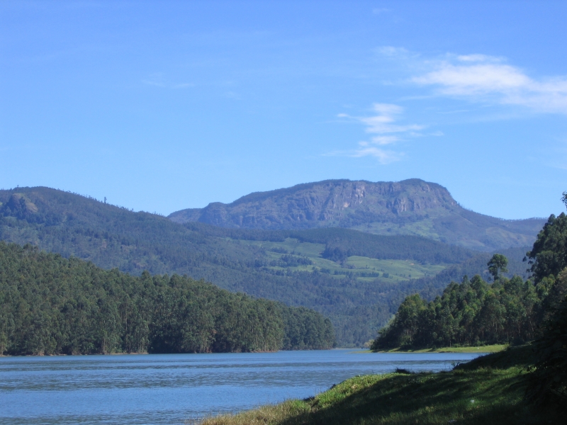 Munnar Featured