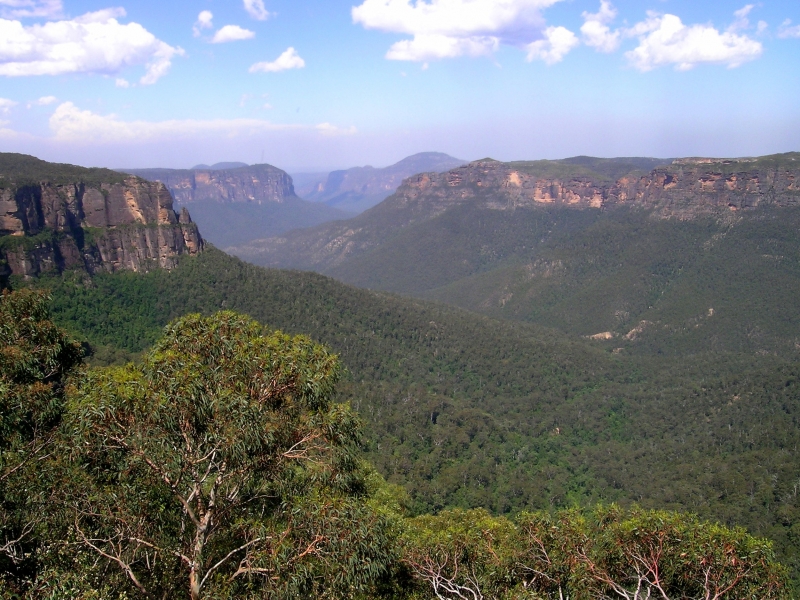Blue Mountains