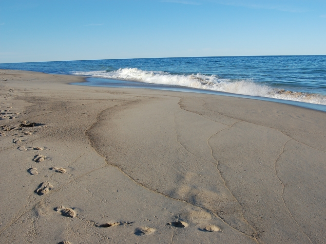 Cape Cod