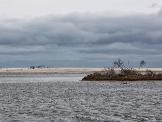 Chincoteague Island