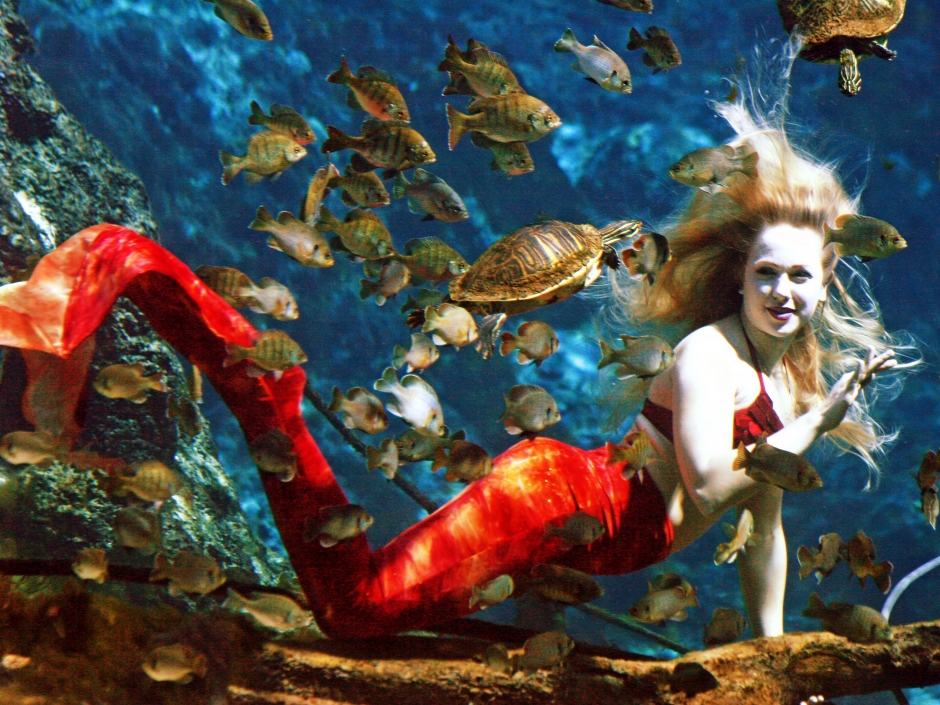 Weeki Wachee - Best October Destinations