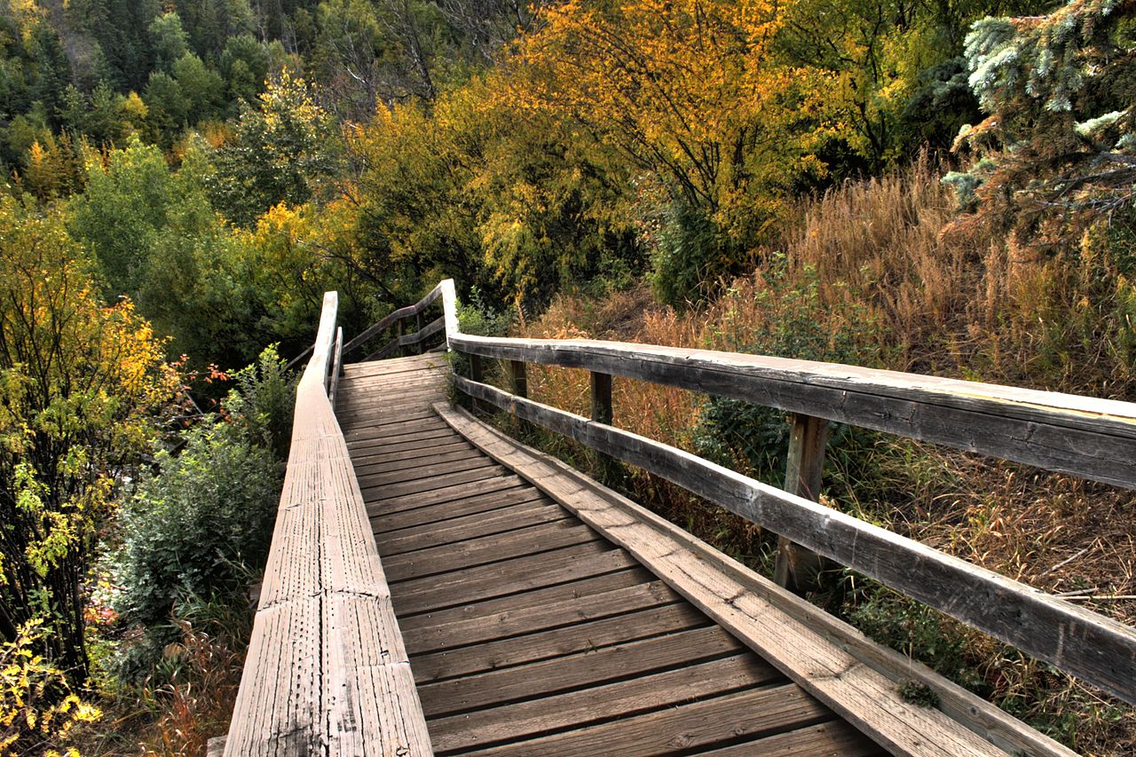 Things to Do in Edmonton