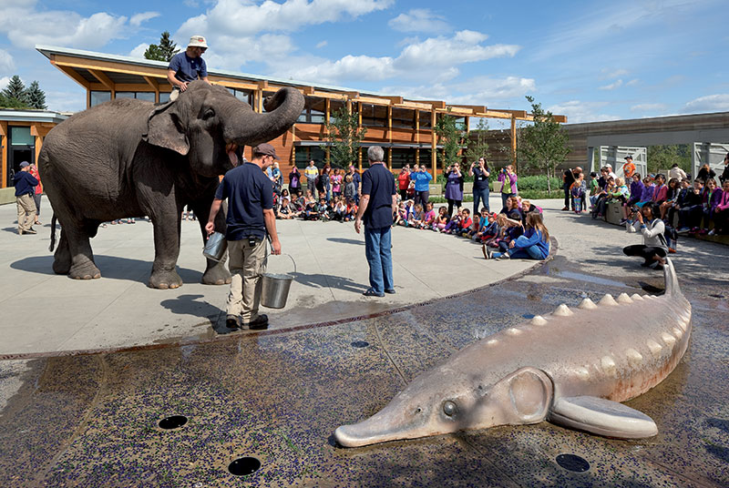 Things to Do in Edmonton