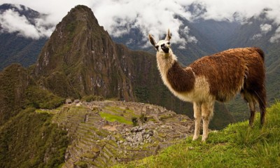 Lost City of the Incas