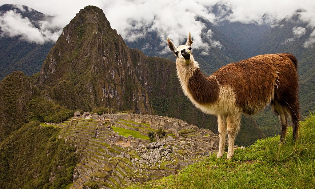 Lost City of the Incas