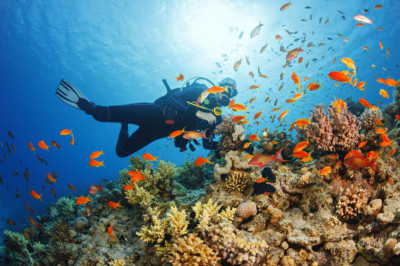 Best Diving Destinations